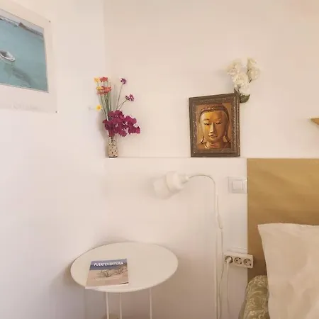 Shangri-la 2 アパート カレタ・デ・フステ