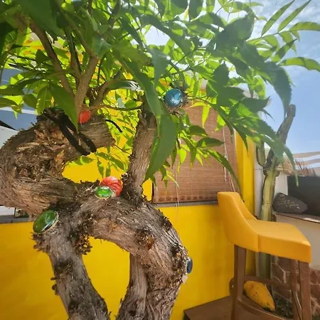 Shangri-la 2 アパート *